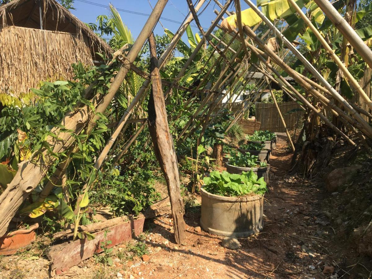 Thong Family Homestay Chiangdao Chiang Dao Exteriör bild
