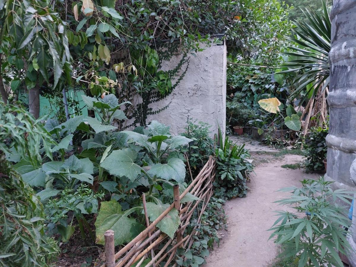 Thong Family Homestay Chiangdao Chiang Dao Exteriör bild