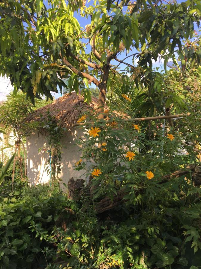 Thong Family Homestay Chiangdao Chiang Dao Exteriör bild